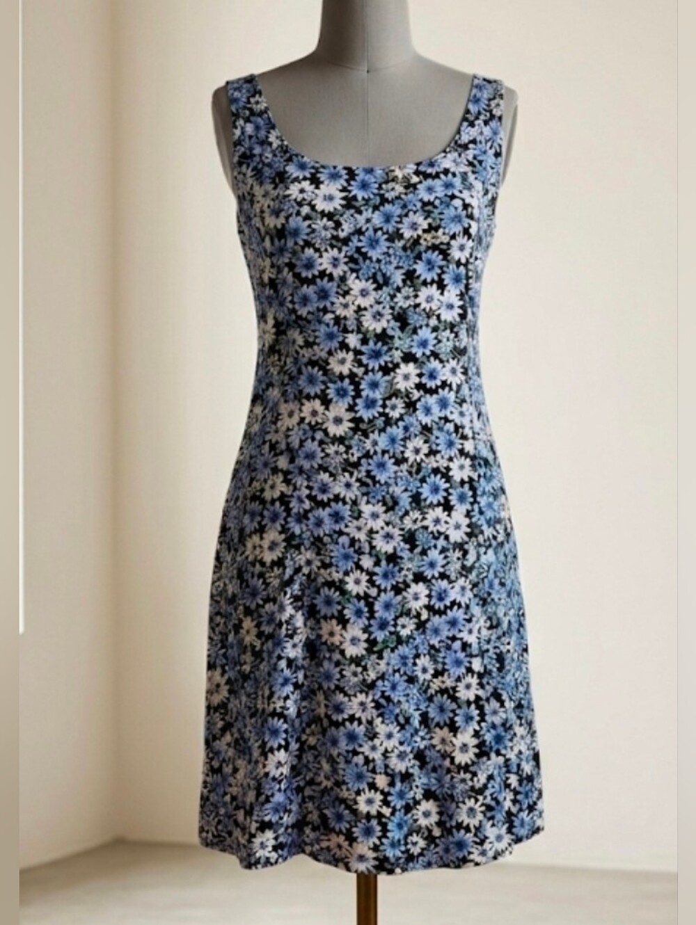 American Eagle Floral Skater Dress Small Blue White Cottagecore Y2K Vibes